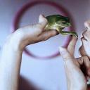 吻我吧，青蛙王子剧照