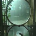 黄飞鸿之八大天王剧照