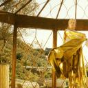 寻找爱情的下落剧照