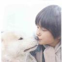 雪王子：禁恋的旋律剧照