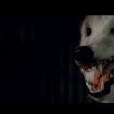 狼人就在你身边剧照