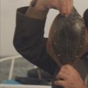 钓鱼迷日记1剧照