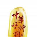 中华好诗词大学季 第二季