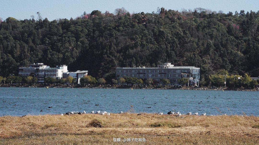 热爱生活的一万个理由的图片-天空的蓝蕴藏着勃勃生机 去涂上一层鲜活的深蓝