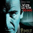 心理追凶 2008特别篇