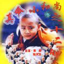 真命小和尚之十二铜人