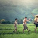 闯入你镜头的小惊喜