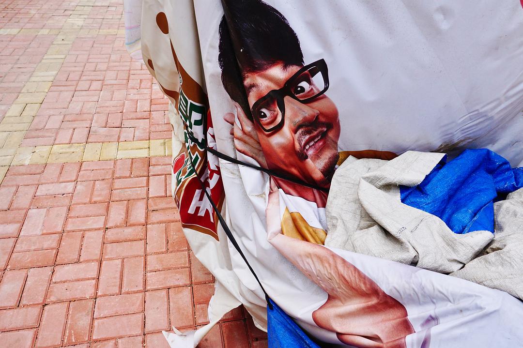 闯入你镜头的小惊喜的图片-闯入我镜头的小惊讶