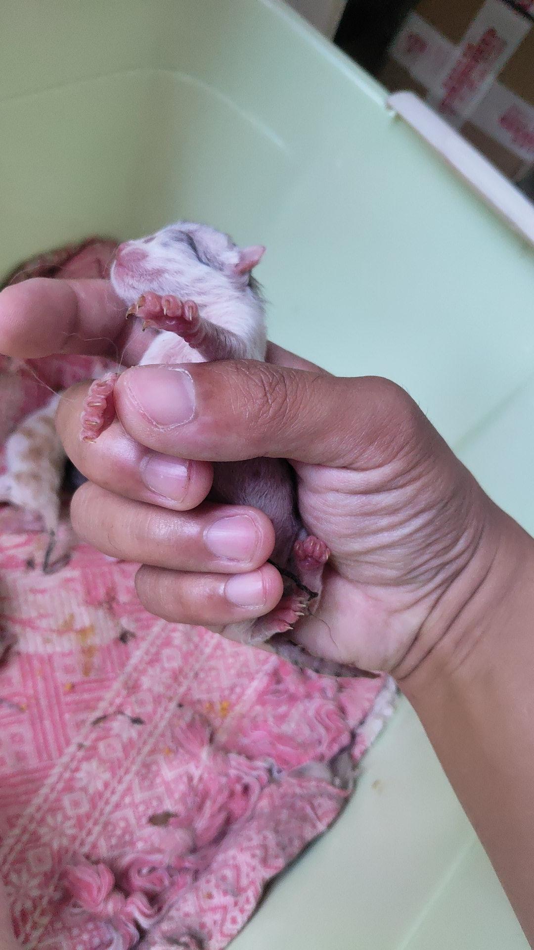 每天让自己原地复活的保留项目的图片