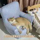 什么时候你怀疑你的猫不是猫，是其他生物
