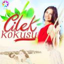 草莓之味 第一季