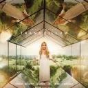 九个完美陌生人