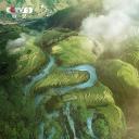 走在回家的路上