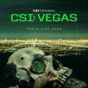 犯罪现场调查：维加斯