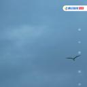 和陌生人说话 第四季