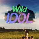 极限出道 野生偶像