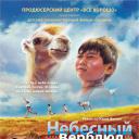 天上的骆驼.海报