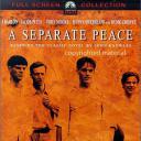 另一种和平.海报