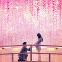 爱情盲选：日本篇