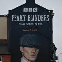 浴血黑帮 第六季