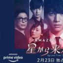 来自星星的你(日版)