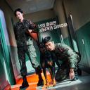 军检察官多伯曼犬