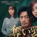 夺爱、高校教师