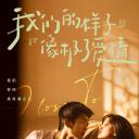 我们的样子像极了爱情.海报