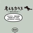 像乌鸦一样思考