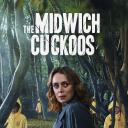 米德威奇布谷鸟