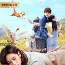 何加加的桃花源记