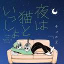 关于养猫我一直是新手