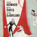 我所追逐的是爱情