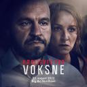 成人级爱情.海报