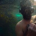 我的章鱼老师剧照