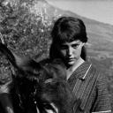 驴子巴特萨剧照