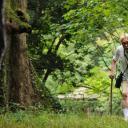 黄金花　秘すれば花　死すれば蝶剧照