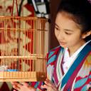 梦二 爱的水花剧照