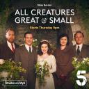 万物生灵 第三季