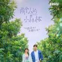 两个人的小森林