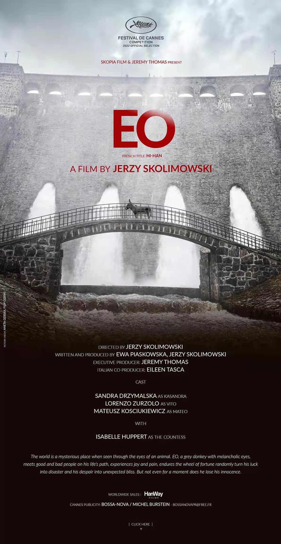 驴叫的海报-正式海报