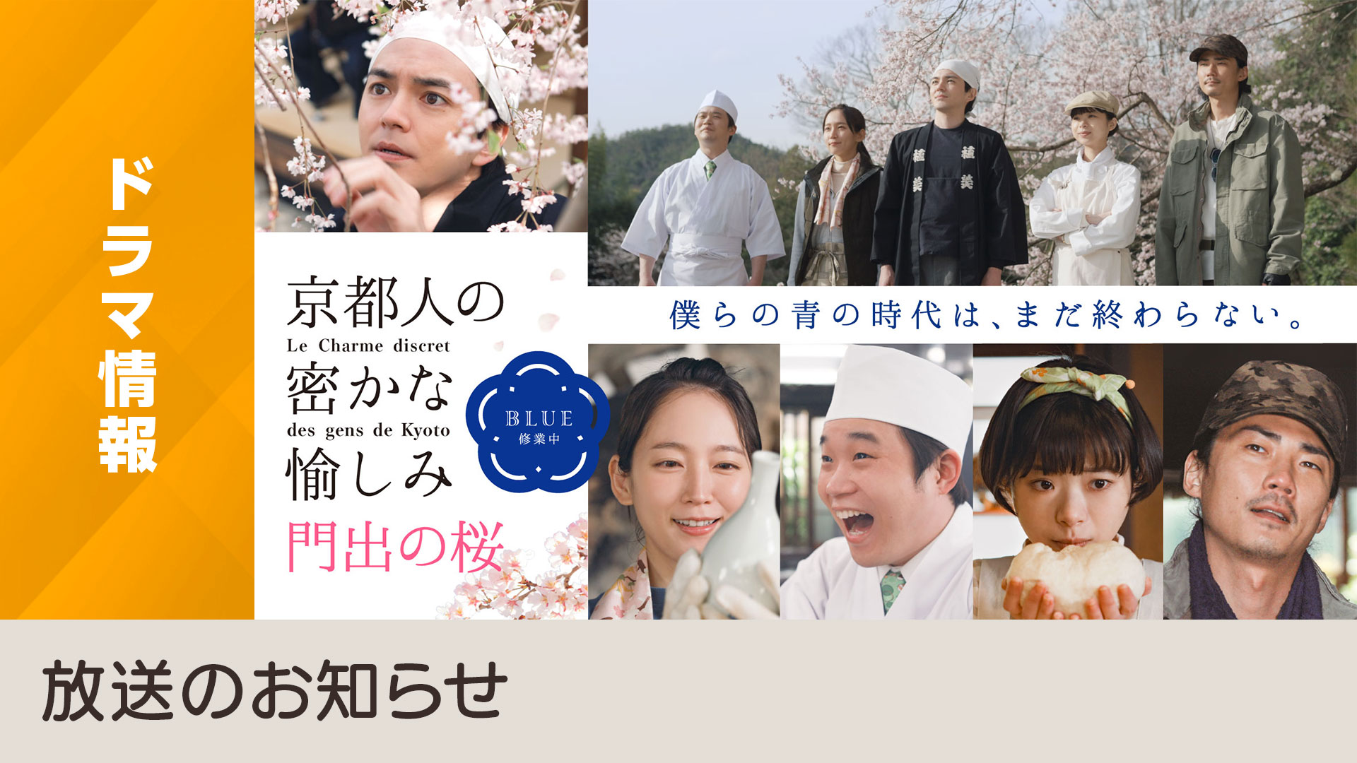 京都人的私房雅趣 Blue修业中 门出之樱的海报-预告海报 日本