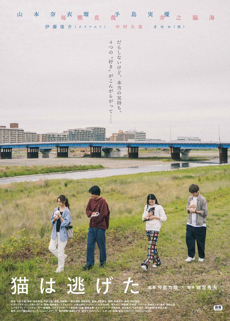 猫猫逃走了的海报-正式海报