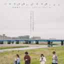 猫猫逃走了.海报