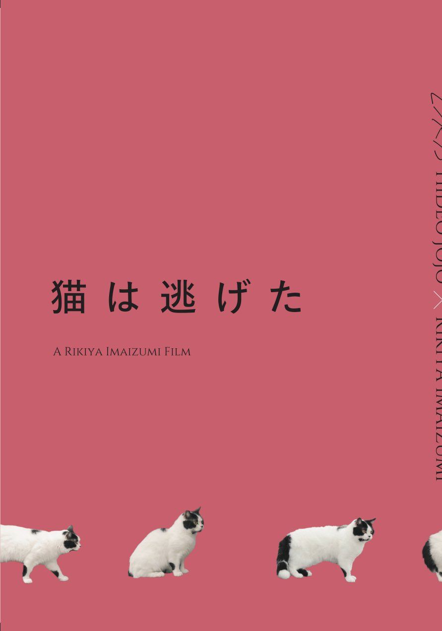 猫猫逃走了的海报-其他海报