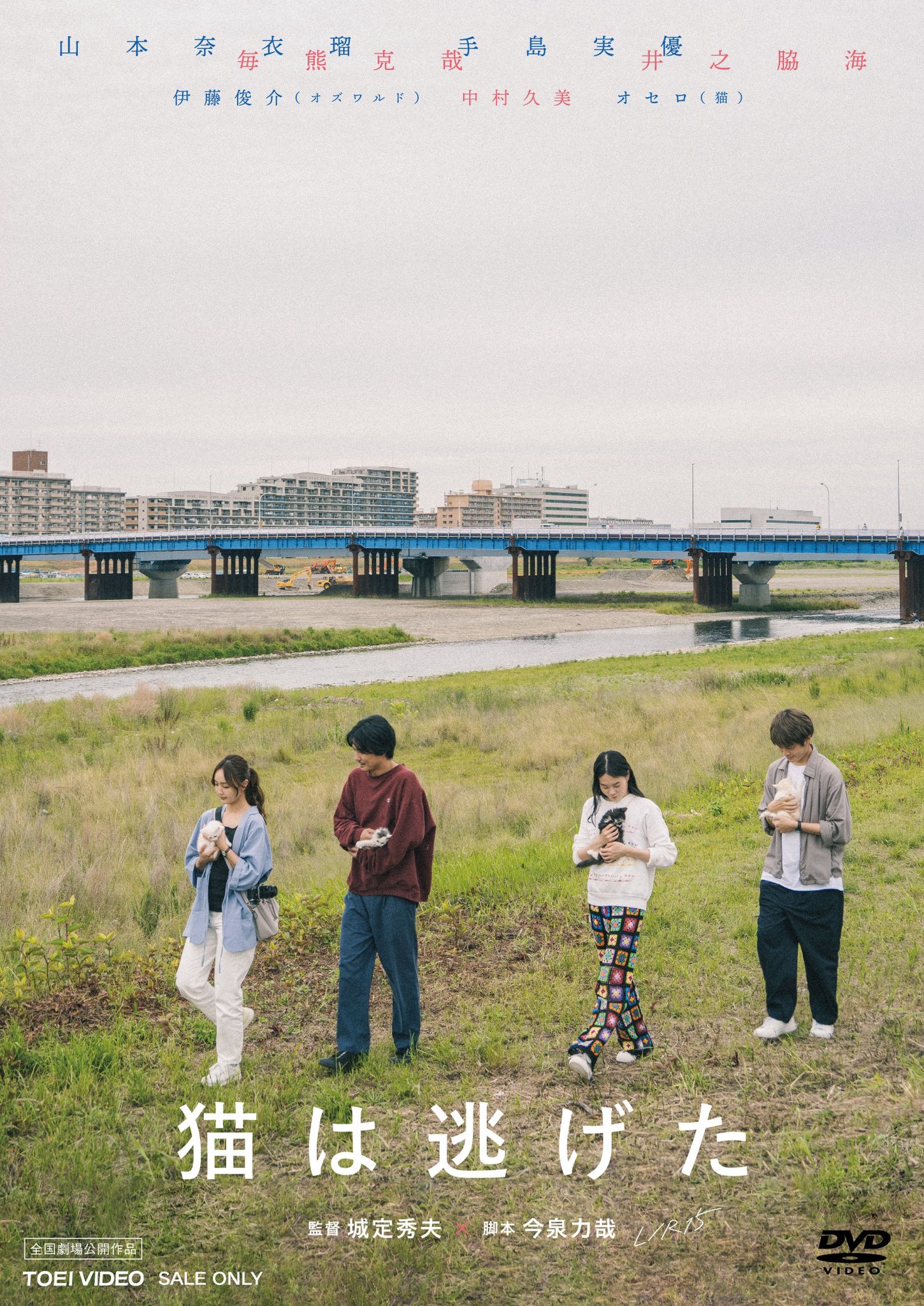 猫猫逃走了的海报-其他海报