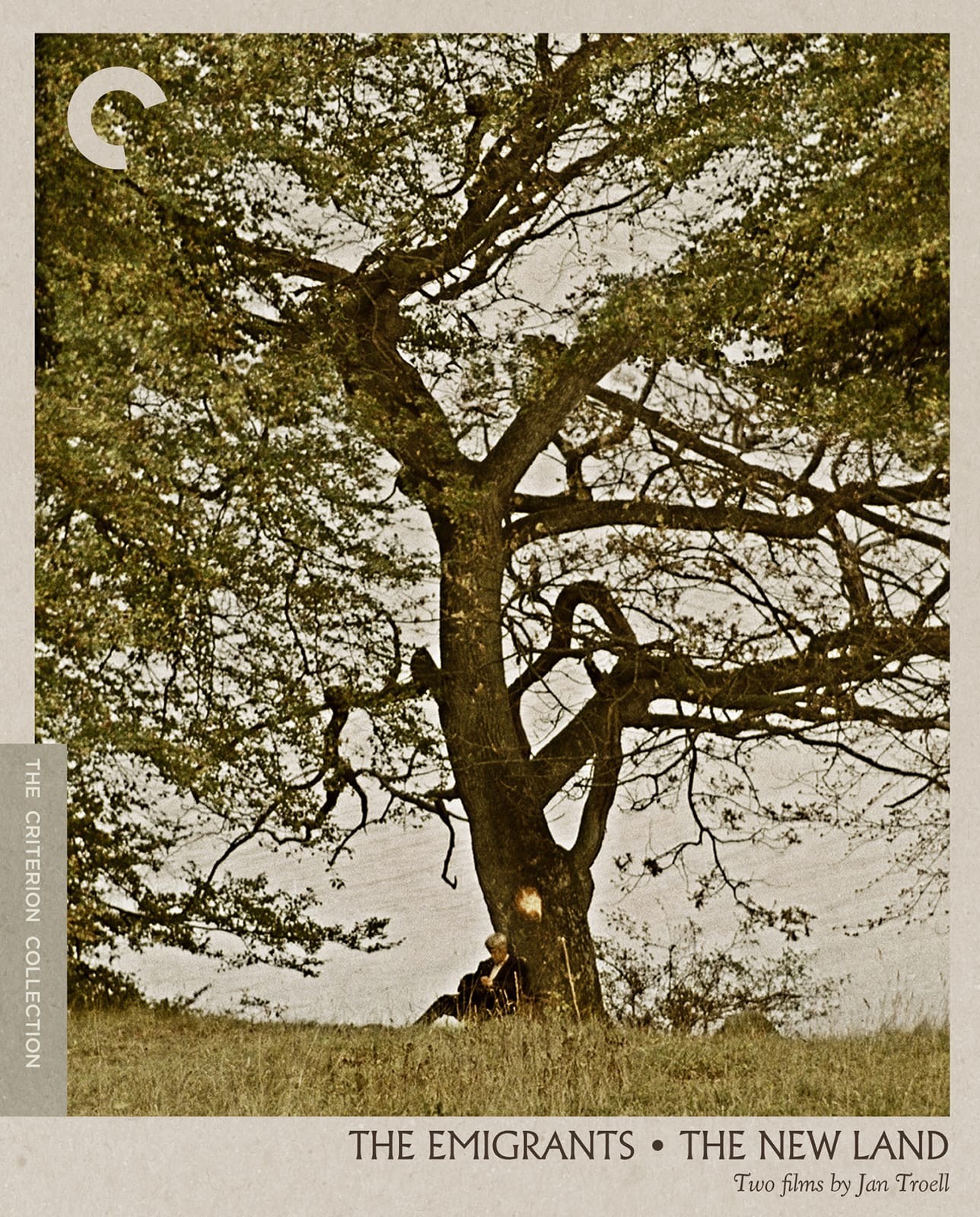新大陆的海报-其他海报