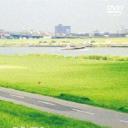 3年B班金八老师 第5季