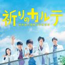 祈愿病历簿 研修医的解谜诊察记录