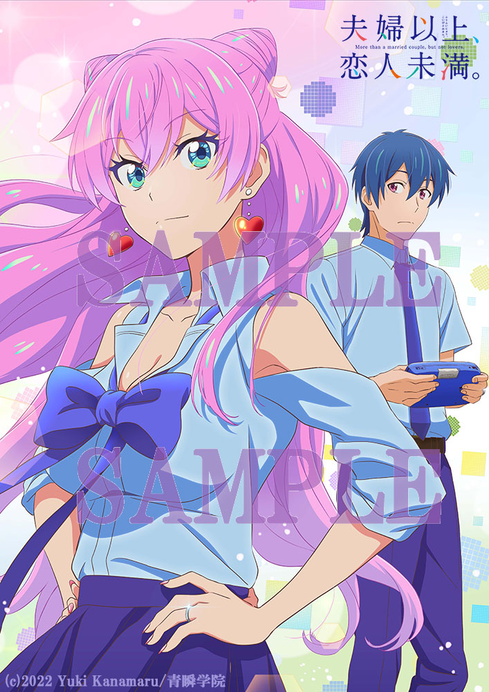 夫妇以上，恋人未满的海报-其他海报